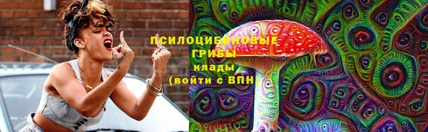 МДМА Богданович