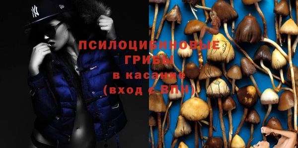 спиды Беломорск