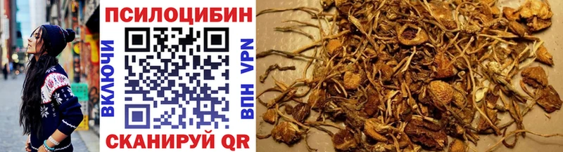 Псилоцибиновые грибы Psilocybine cubensis  хочу   Верещагино 